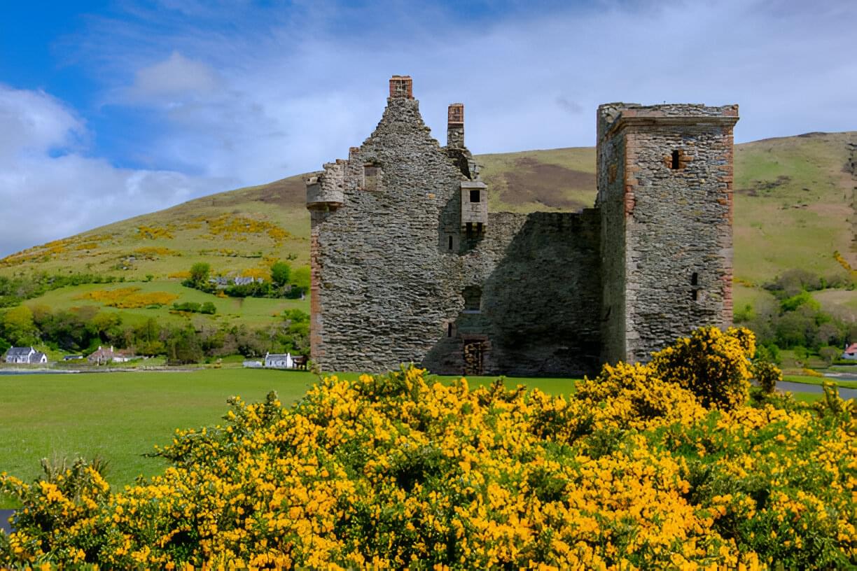 Ruins of a stone castle surrounded by bright yellow gorse flowers, with lush green hills in the background, on the Isle of Arran, Scotland.